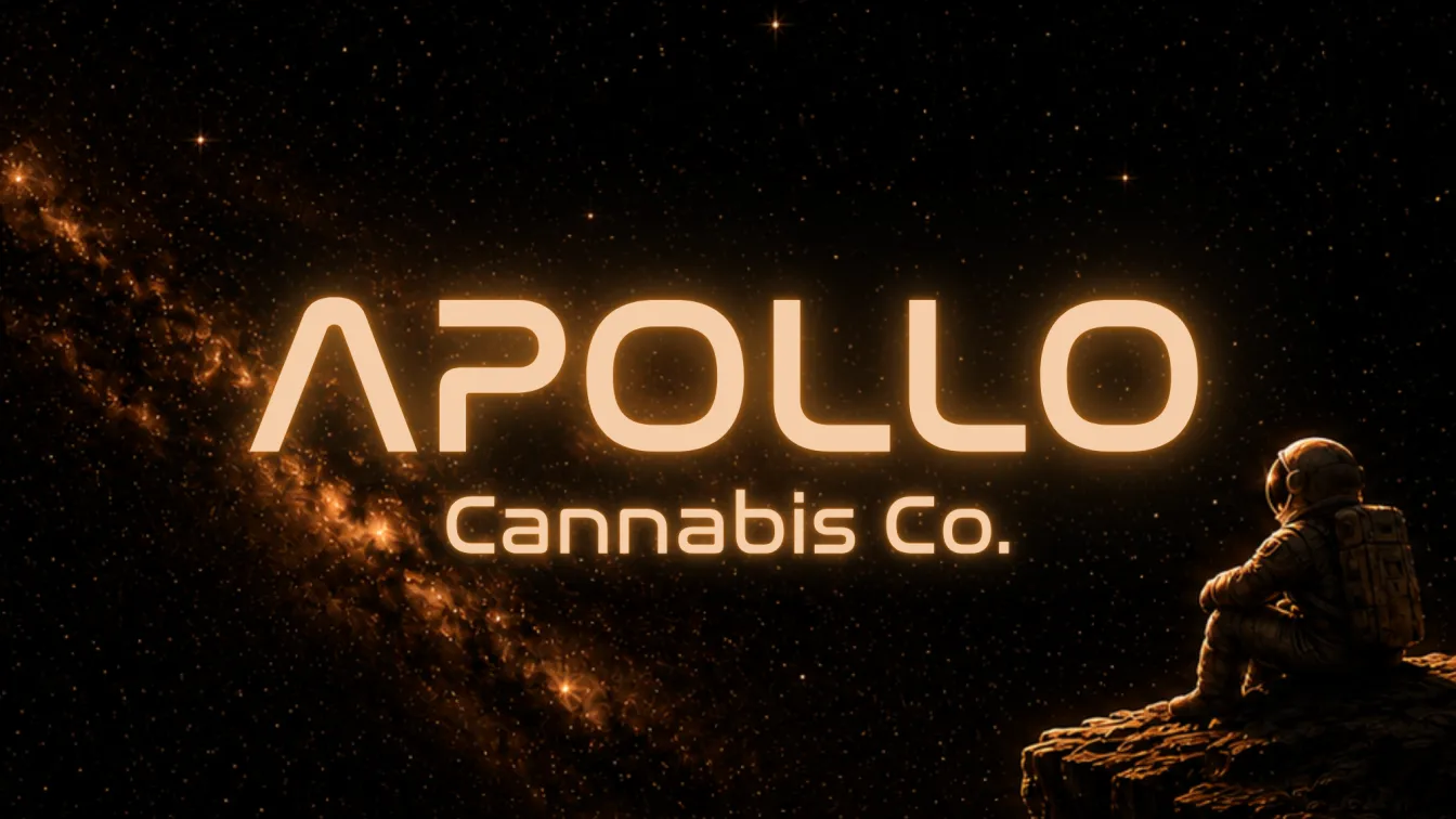 Official Apollo Giveaway- Summer Never Ends